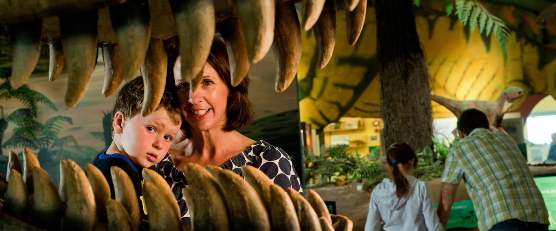 Explore the Best Museums in Isle of Wight