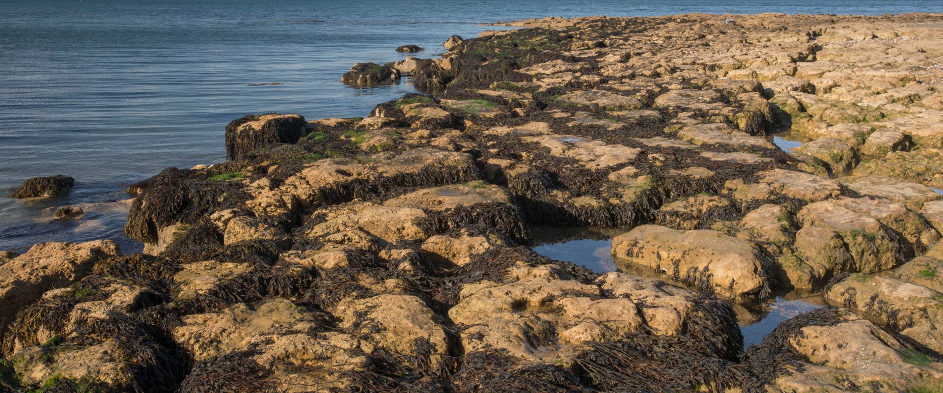 Exploring St Helens Beach: A Hidden Gem on the Isle of Wight