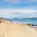 Exploring Shanklin Beach