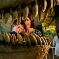 Explore the Best Museums in Isle of Wight