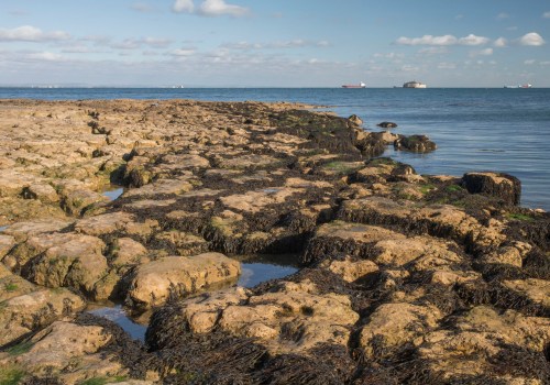 Discovering St Helens Beach on the Isle of Wight